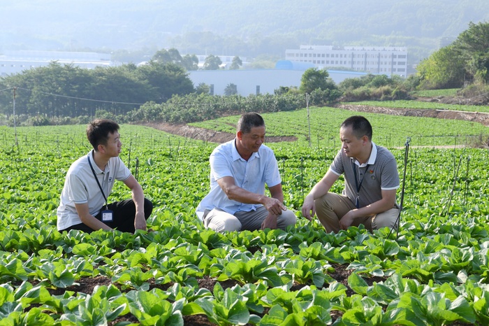 漳浦：专项监督 擦亮乡村振兴底色